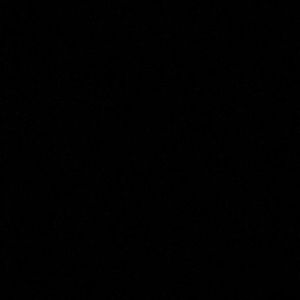 Meet your Posher, Noelle